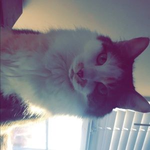 Meet your Posher, Cierra